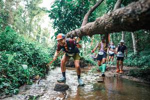 BIB: 
                            <button type="button" onclick="openModal(25369887)" class="btn btn-primary btn-sm float-right btn-popup" data-toggle="modal" data-target=".modal-high-quality">
                        <i class="fas fa-shopping-cart"></i> Add to Cart
                    </button>
                                            <button type="button" onclick="isThisMe(25369887, true)" class="btn btn-success btn-sm float-right btn-popup btn-isme hidden" data-toggle="tooltip" data-placement="bottom" title="นี่คือรูปของคุณใช่ไหม คลิกที่นี่เพื่อเอาเข้าอัลบั้ม">
                        <i class="fas fa-plus"></i> Add to album
                    </button>
                    <button type="button" onclick="isThisMe(25369887, false)" class="btn btn-warning btn-sm float-right btn-popup btn-isnotme hidden">
                        <i class="fas fa-ban"></i> Remove from album
                    </button>